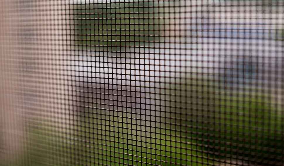 insect screen